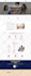 do full website creation, wordpress website development, business web design