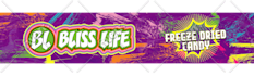 design a professional event or business flyer for you
