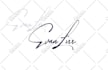 do signature logo design beautiful handwritten and typography