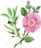 create watercolor floral logo design