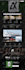 create a wordpress website or wordpress design