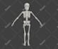 do 3d product animation video ads and realistic 3d rendering
