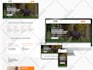 design a responsive elementor wordpress website