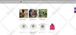 build ecommerce website online store woocommerce and shopify