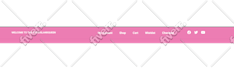 edit and make changes to your wordpress website