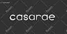 manually vector trace logo, edit, vectorize, redesign, recreate design