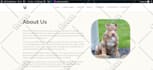 create a responsive wordpress website or landing pages