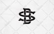 design hand drawn custom professional monogram logo