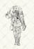 draw detailed vintage illustration with engraving style