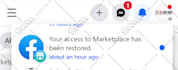 fix facebook marketplace issues and restore access
