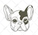 create vintage outdoor illustrations for your t shirt brand