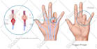 do medical, dental and scientific illustrations for you