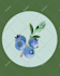 digitally illustrate plants and food for publications