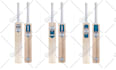 design premium cricket bat stickers with unique design