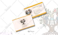 create professional business card design in 24 hours