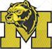 do embroidery digitizing into emb,dst,pes file in 1 hour