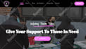 develop a stunning wordpress website or online store