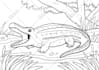 draw coloring pages for kids and children