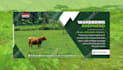 design professional business card, letterhead and corporate stationery
