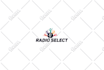 design business logo and professional brand style guide