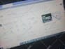 reinstate and fix suspended google my business profile