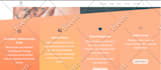 design and develop website