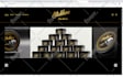 create a professional website for your company