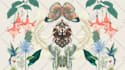 create scarf bandana shawl pattern design