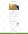 create mailchimp, klaviyo email templates