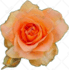 fix image editing photoshop edit picture manipulation object remove background