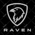 professionally recreate your logo in vector format