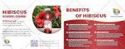 design a professional postcards and eddm postcards