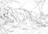 draw pencil sketch illustrations