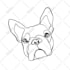 draw a vector line art portrait avatar from your picture