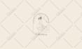 design a custom hand drawn, feminine, and botanical boho logo design