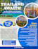design professional travelling flyer