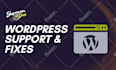 fix any wordpress errors or improve google page speed scores