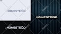 do quick and original logo design with unlimited revisions