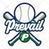 design custom parody, nba, mlb, anfl, ufc, ncaa, world series and bootleg logo
