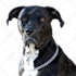 remove a person, object or text from your picture