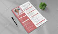 write, edit, update, format and design your professional resume or cv