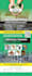 do flyer design, motion flyer or animated flyer or leaflet