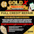 do credit repair silver gold platinum package flyer