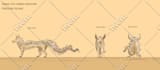 create digital art, dnd character, fantasy map illustration,