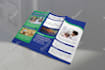 design a professional trifold or bifold brochure