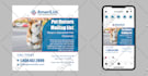 design an amazing postcard or direct mail eddm in 24 hours