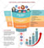 do data entry, web research, excel data entry, typing, copy paste