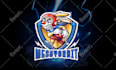 design cartoon sports mascot league logo for your team n club