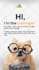 design canva templates and social media posts