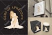 create vintage logo with art noveau illustration